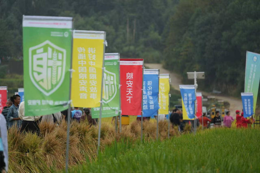 賣餅年入千萬，世界糧食日，浙江這口糧香喫出幸福大產業