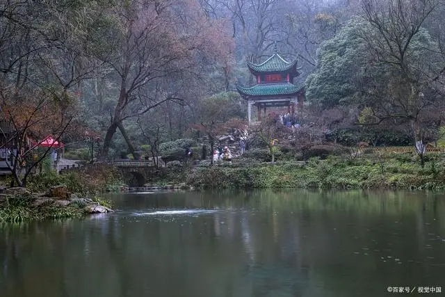 岳麓山下，品味勁仔小魚仔，解鎖湖南特色零食之旅