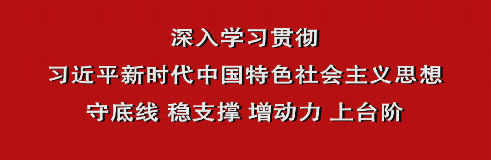 【鄉村振興】景谷民樂：冬季茶園管護忙 續寫產量品質提升“茶文章”