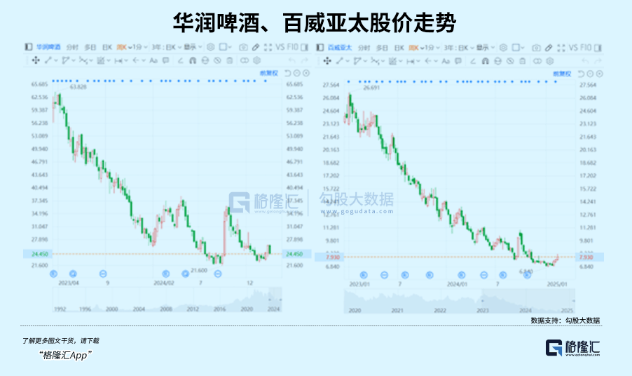 800億市值兩年成空，青島啤酒“喝不動了”？