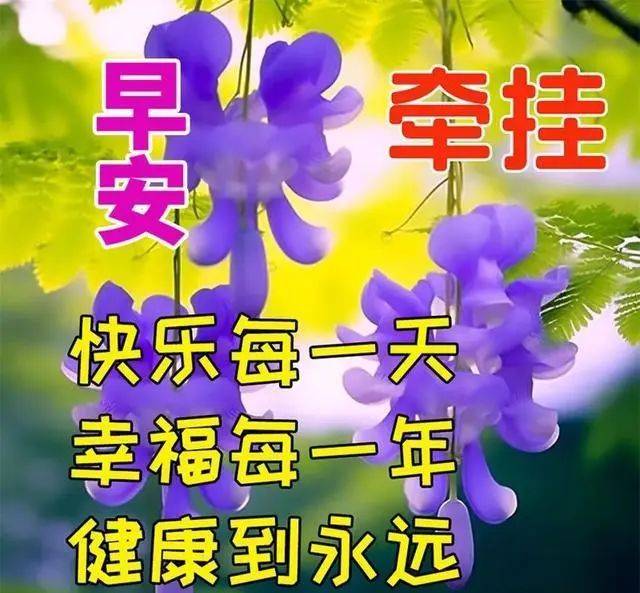 2025暖心的早晨問候短句，吉祥如意，健康快樂！